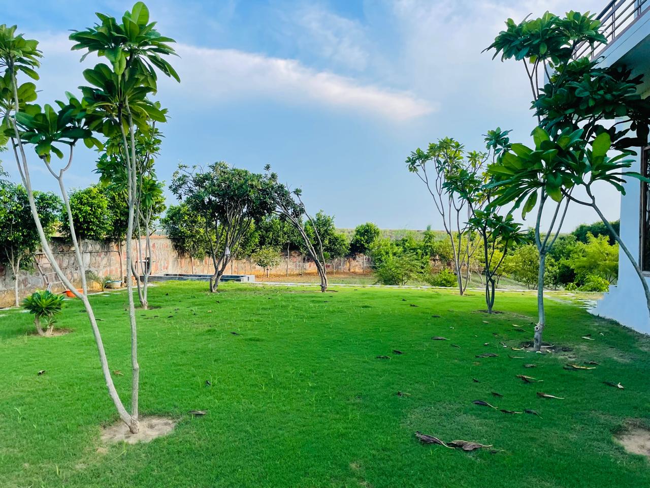 WhatsApp Image 2025 12 06 at 14.36.55